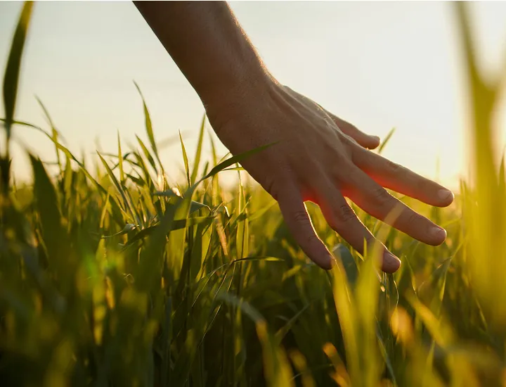 N2 Natural Nutrition